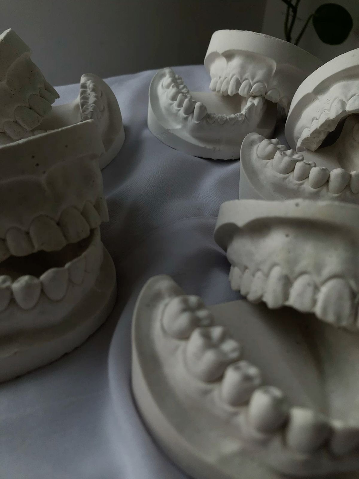 Ортопедическая стоматология